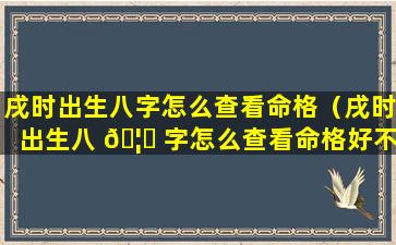 戌时出生八字怎么查看命格（戌时出生八 🦅 字怎么查看命格好不好）